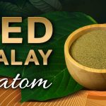 Red Malay Kratom Guide [2024] – Effects, Benefits, Dosage + Where to Buy