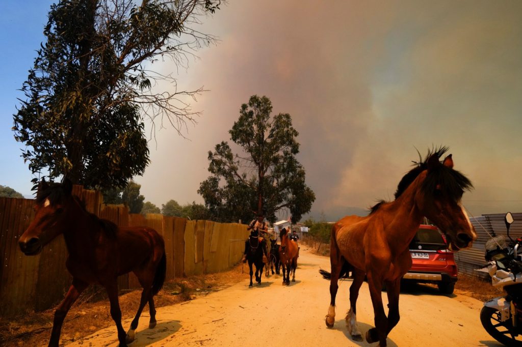 Hundreds missing in Chile after wildfires kill at least 122