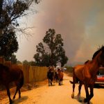 Hundreds missing in Chile after wildfires kill at least 122