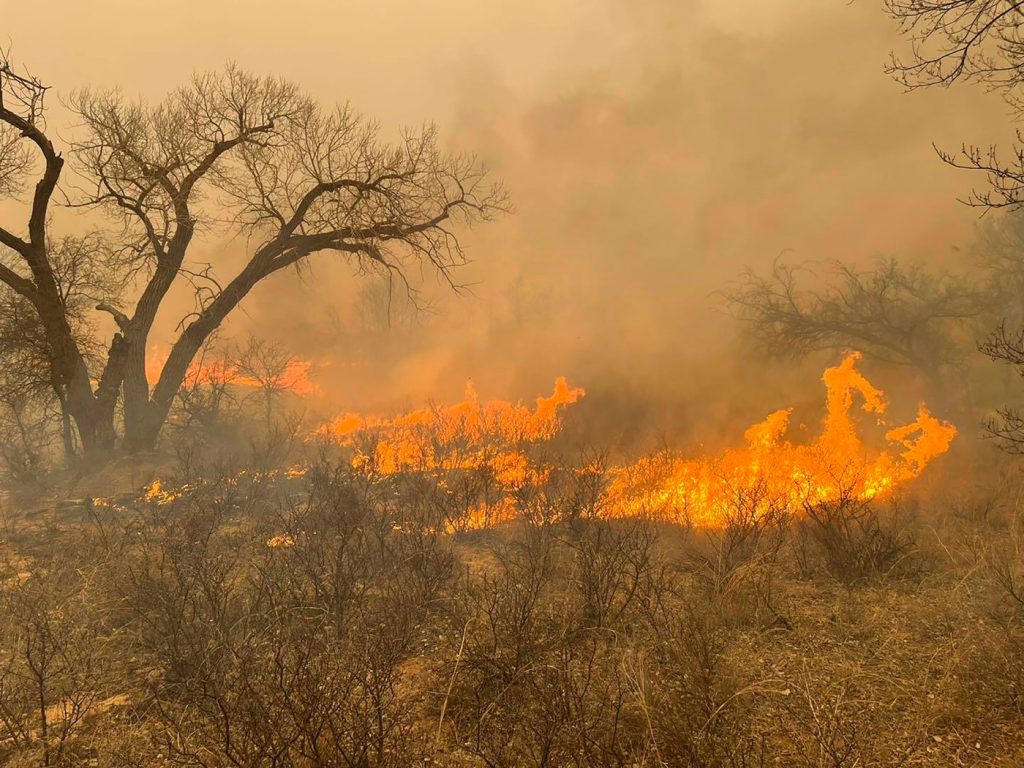 Texas Panhandle blaze grows to 2nd-largest in state history