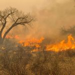 Texas Panhandle blaze grows to 2nd-largest in state history