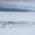 Shooting stuns whaling village on Alaska’s North Slope