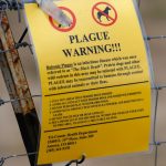 Oregon resident has the plague. Here’s what to know.