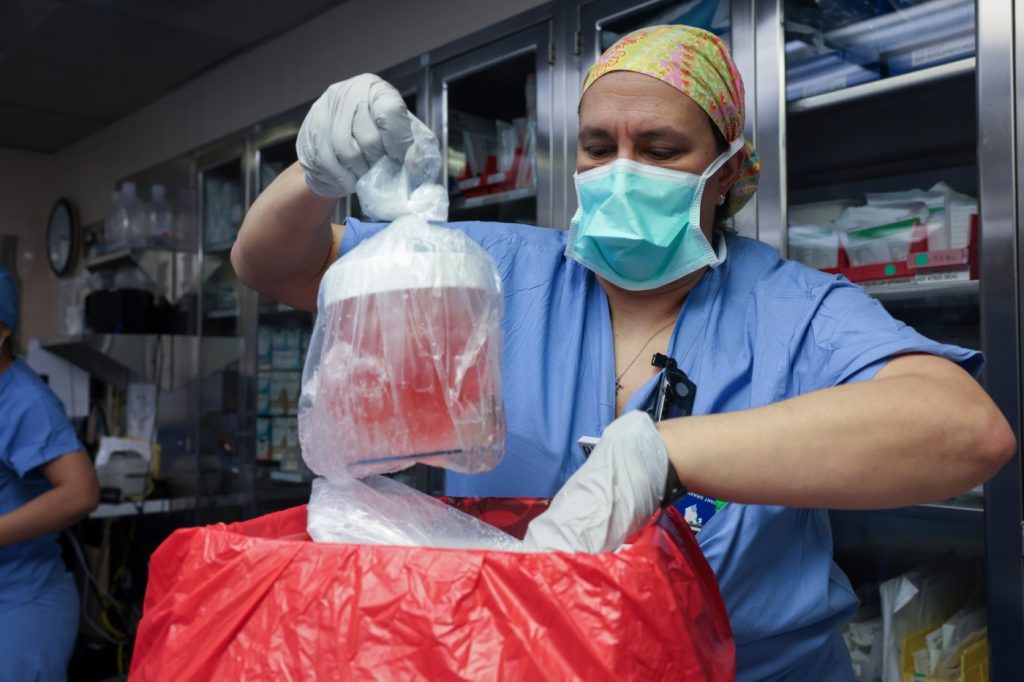 World’s first: Boston hospital transplants a genetically edited pig kidney into a 62-year-old man