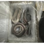 6 arrested for illegally importing goose intestines, duck blood through California port, federal authorities say