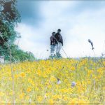 Wildflower season begins in Sunol Wilderness Regional Preserve