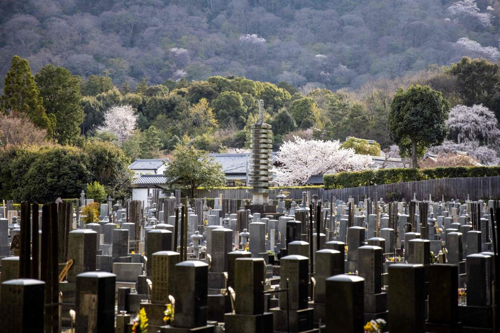 Japan’s population crisis was decades in the making