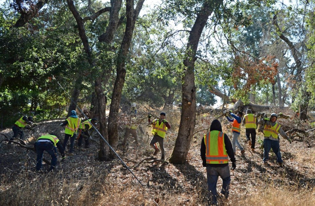 ‘There Ought to be a Law’: Bay Area contestant inspires bill to protect California schools from wildfire