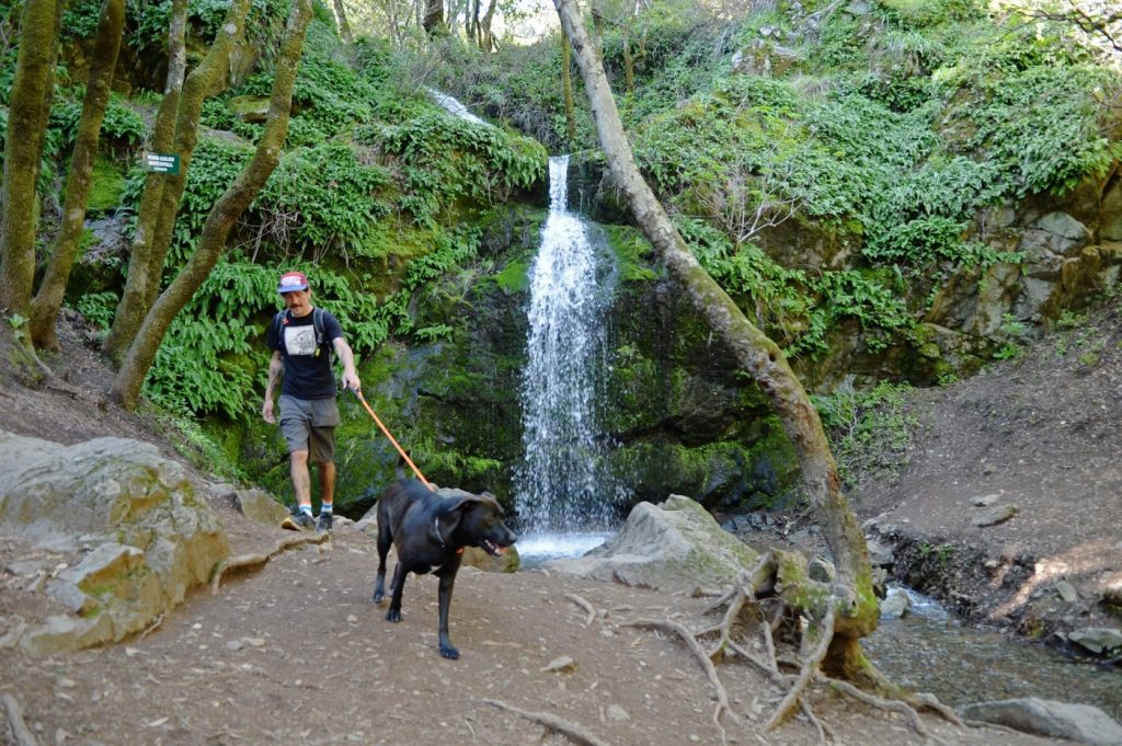 Marin County waterfalls flush as rain keeps coming