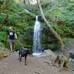 Marin County waterfalls flush as rain keeps coming