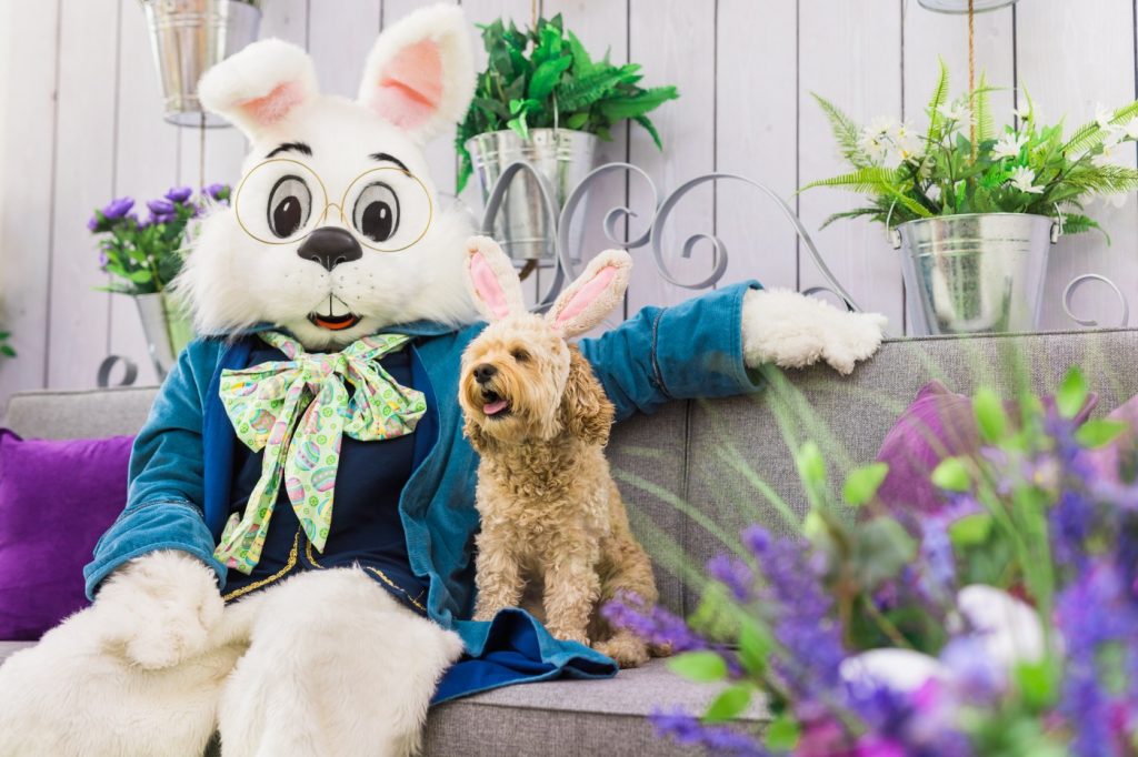 Great Mall Milpitas hosts photo ops with Easter Bunny