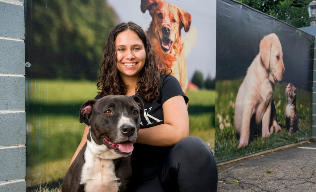 Animal rescue group abandons dozens of dogs at California kennel