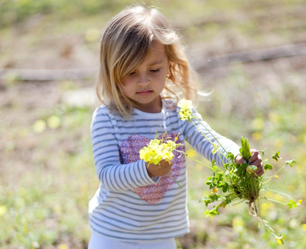 Springtime in Saratoga means Blossom Festival, Arbor Day celebration