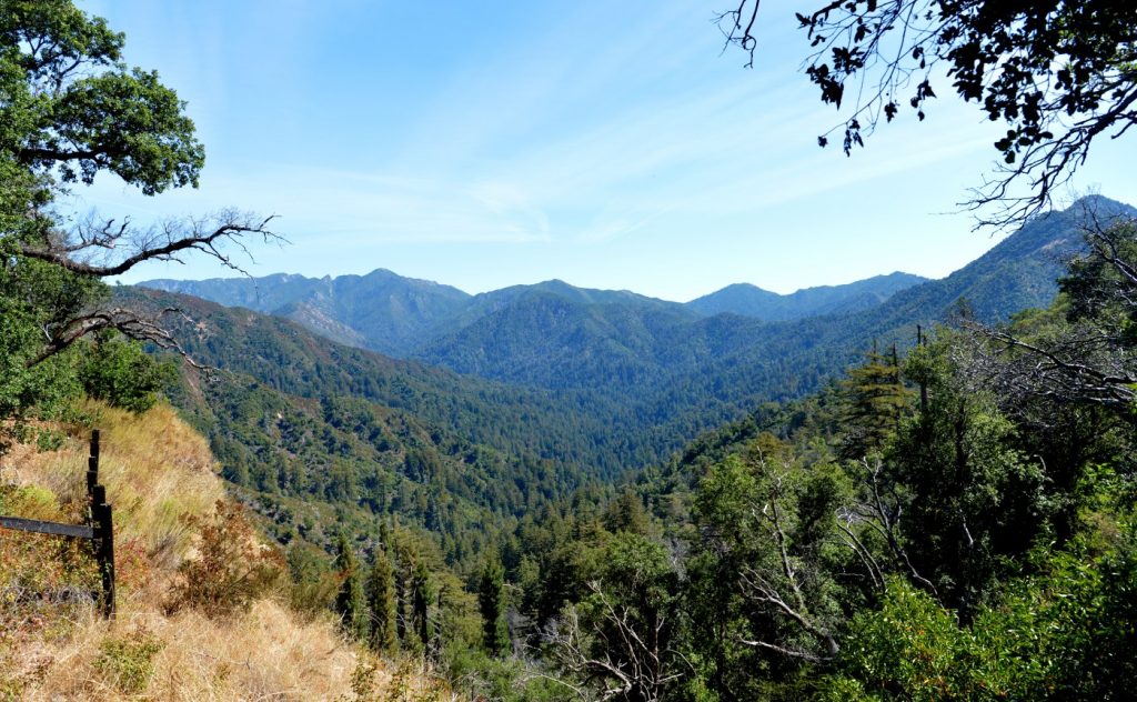 Missing hiker found dead near Monterey County park water fall