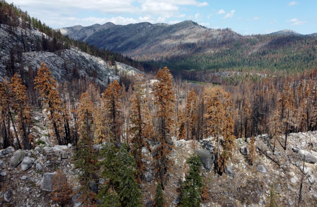 Why e-bikes will be allowed on new multi-use trail in California’s Tahoe National Forest