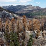 Why e-bikes will be allowed on new multi-use trail in California’s Tahoe National Forest