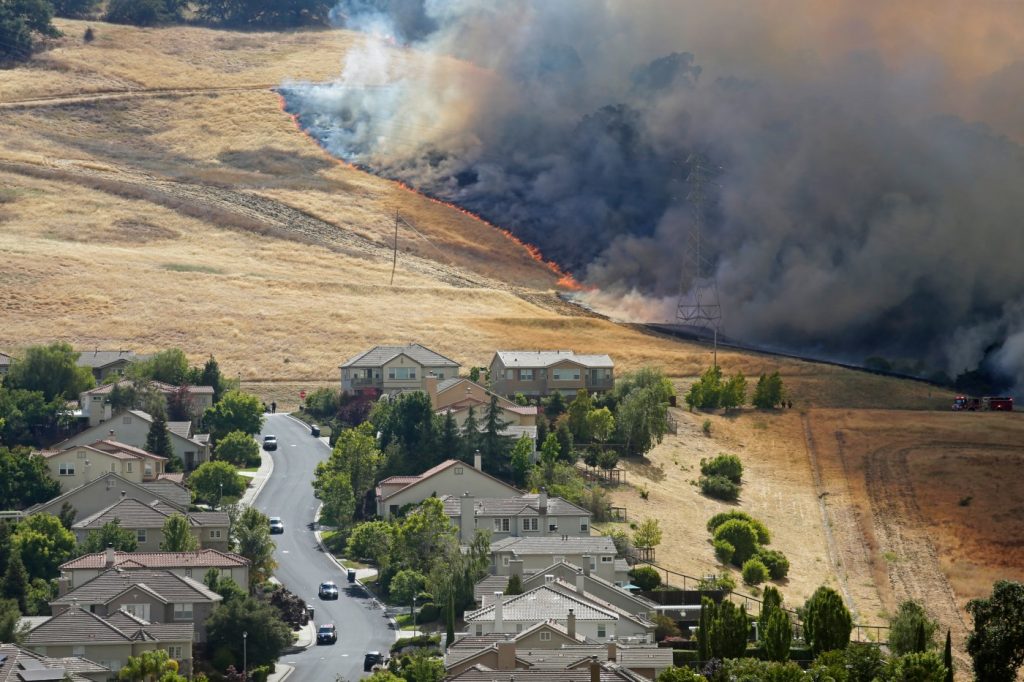 A plant that’s everywhere is fueling a growing risk of wildfire disaster