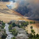 A plant that’s everywhere is fueling a growing risk of wildfire disaster