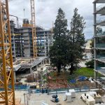 State certifies Sunnyvale’s Housing Element