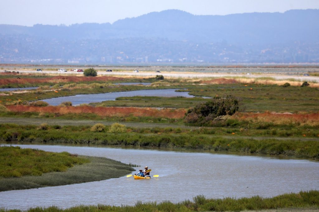 Pioneer who helped save San Francisco Bay and California coast dies at 93