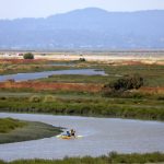 Pioneer who helped save San Francisco Bay and California coast dies at 93