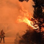 UC Santa Cruz researchers study impacts of CZU wildfires on local streams