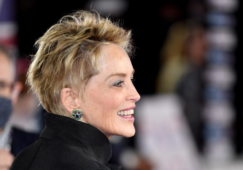 ‘Give me a man’: Sharon Stone wanted to have on-screen sex with Alec Baldwin, not Billy