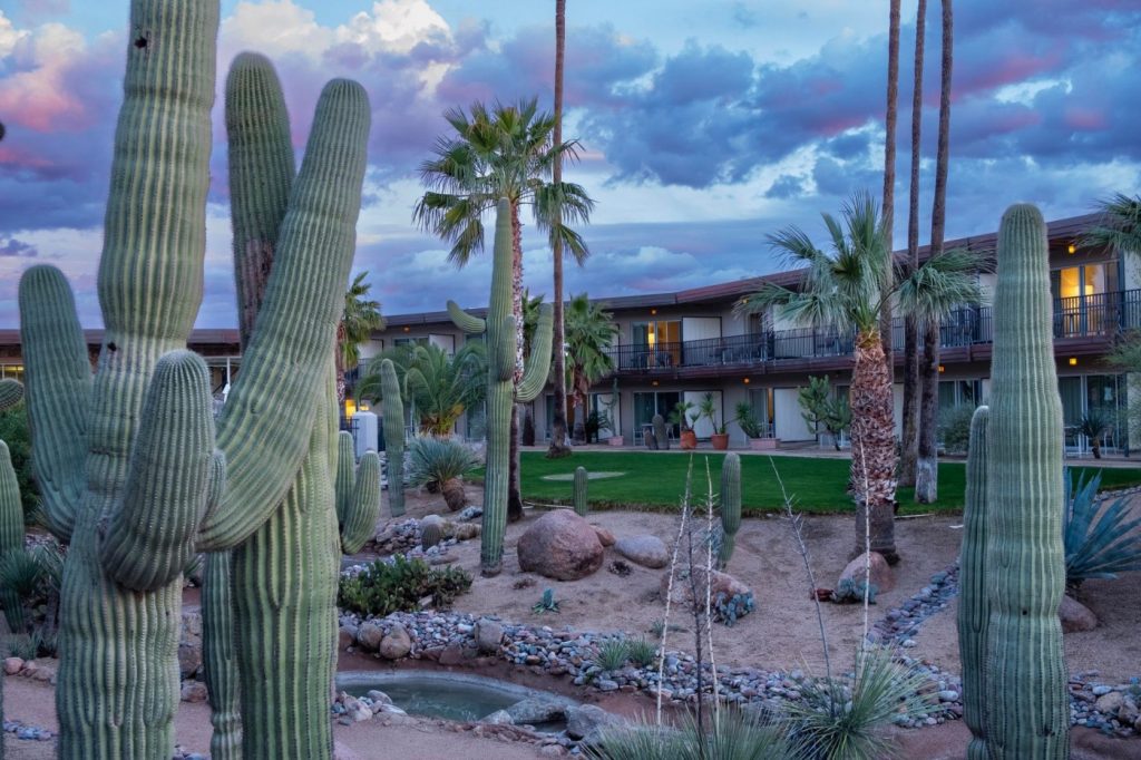 Amid a cactus landscape, these Arizona wellness resorts melt away life’s prickles