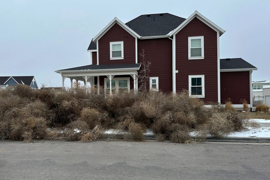 Salt Lake City menaced by giant gang of tumbleweeds