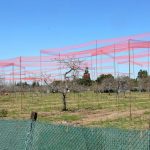 Los Gatos eases story pole restrictions for new developments