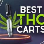 Best THC Carts in 2024 To Help You Relax & Unwind for Experienced & New Users