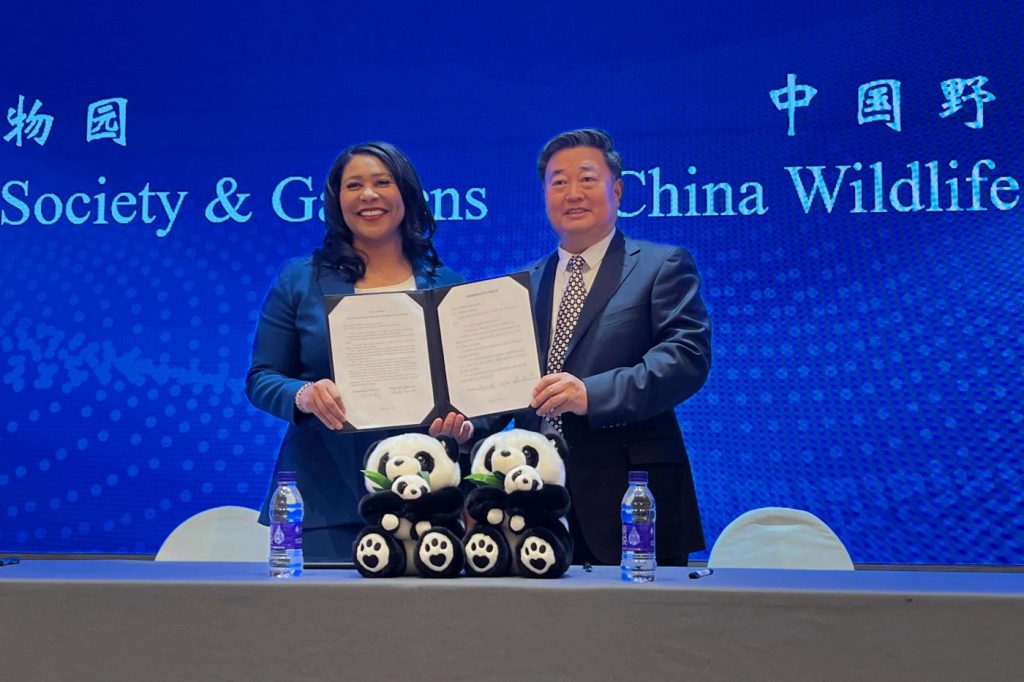 San Francisco mayor announces the city will receive pandas from China