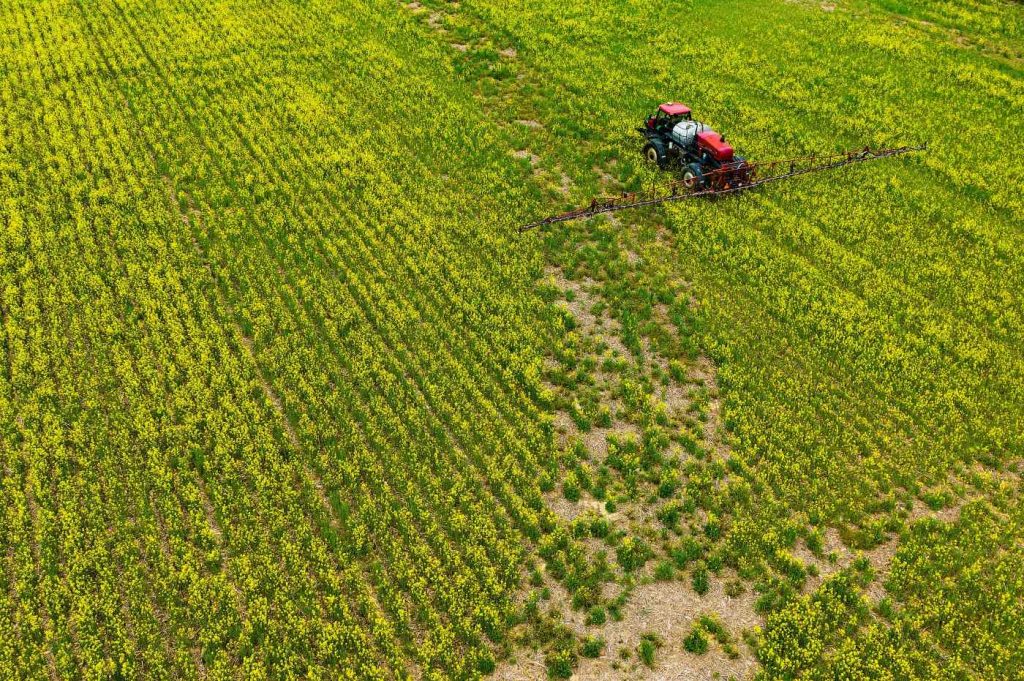 ‘It’s environmental racism’: Ag officials sued over farm chemicals near Latino schools