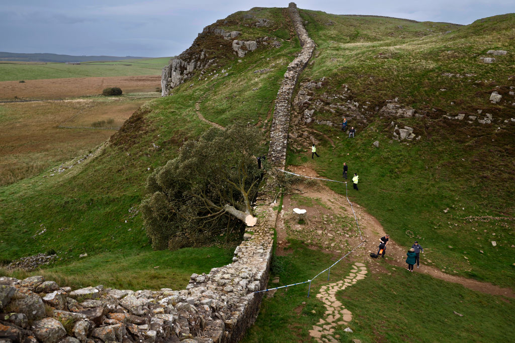 Two charged with cutting down famous tree in England