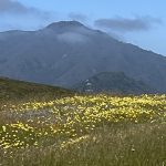 Marin hike: A spectacular hike on Ring Mountain