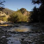 Leaders, groups ‘elated’ over possible expansion of Southern California national monument