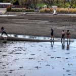 Valley Water drains Vasona Lake for routine maintenance