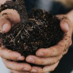 Fact or fiction? Addressing common claims about gardening