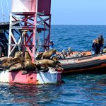 Plans for virtual buoys to replace some markers outside California harbors raised concerns