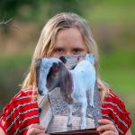 Bill allowing California kids to pull animals from fair auctions (and slaughter) faces opposition