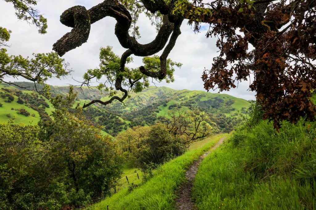 As development sprawls across the Bay Area, a 27-mile wilderness trail is a model for preserving open space