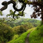 As development sprawls across the Bay Area, a 27-mile wilderness trail is a model for preserving open space