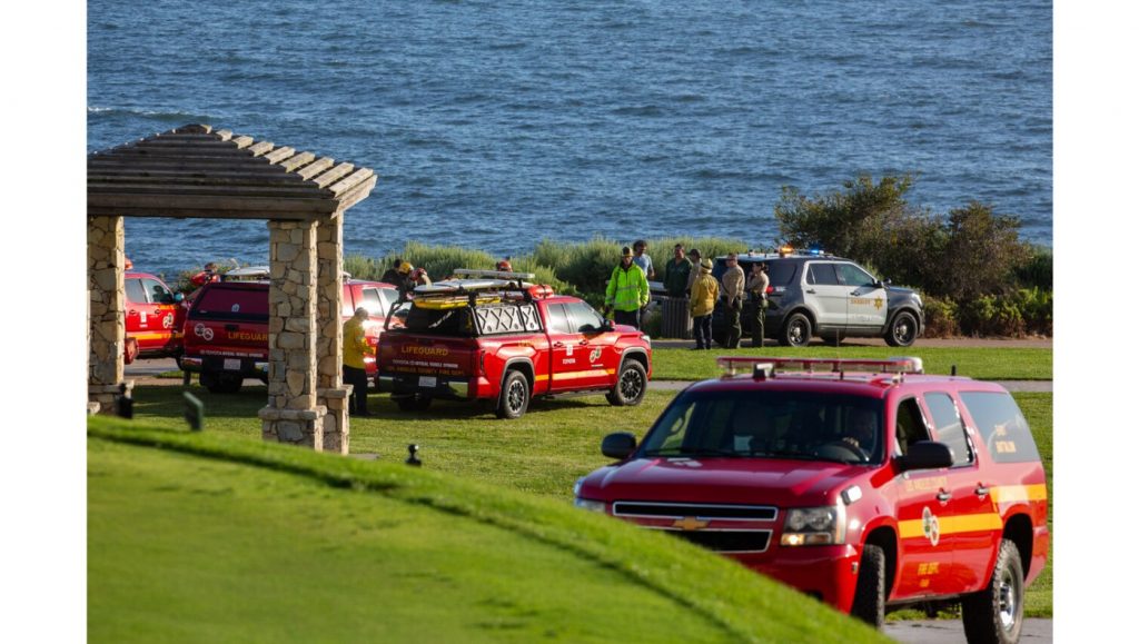 Pilot, dog escape plane that hit the water and sank off California coast