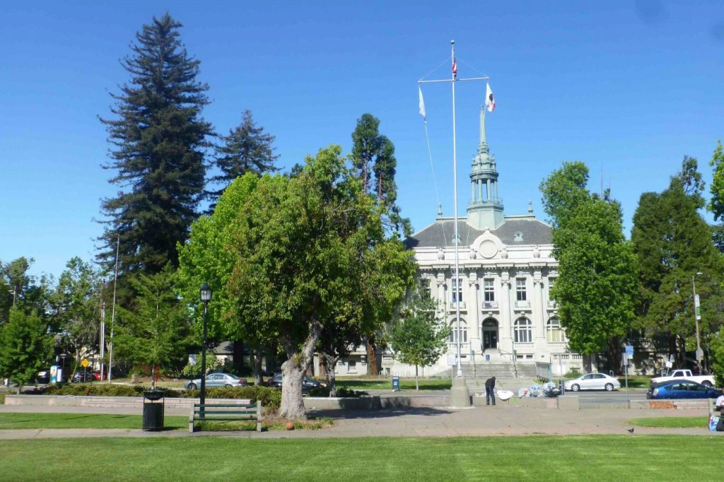 Four candidates enter Berkeley City Council race