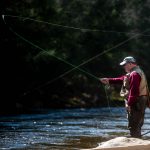 Dog owners warned by state wildlife officials to keep their canines away from raw fish