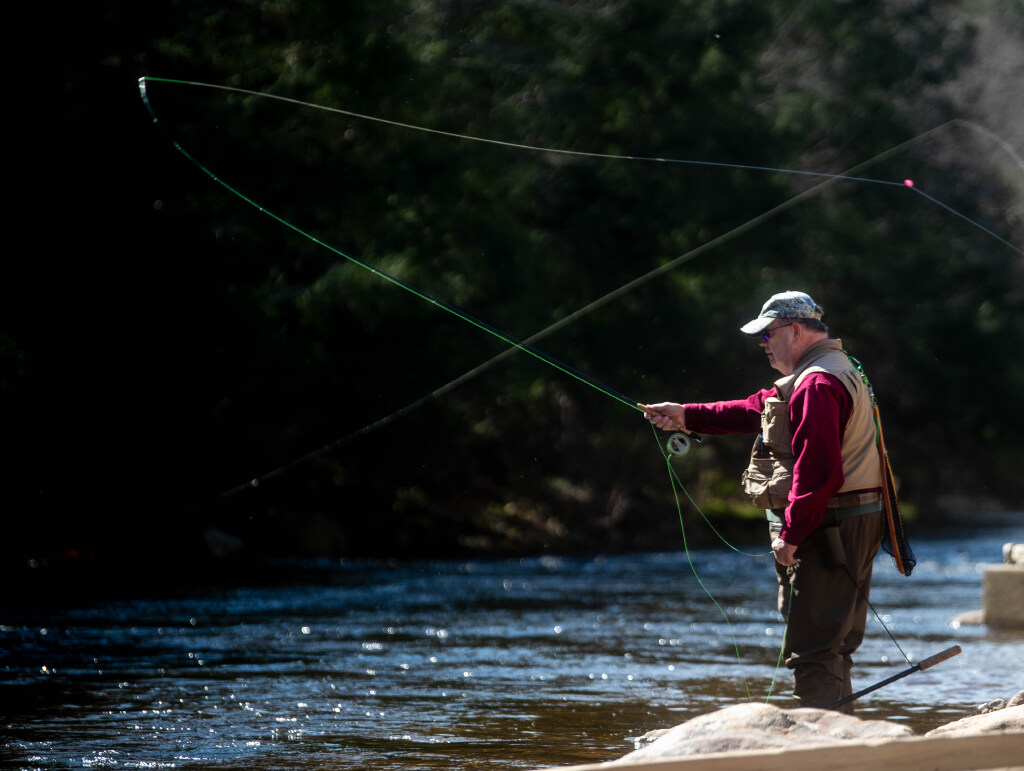 Dog owners warned by state wildlife officials to keep their canines away from raw fish