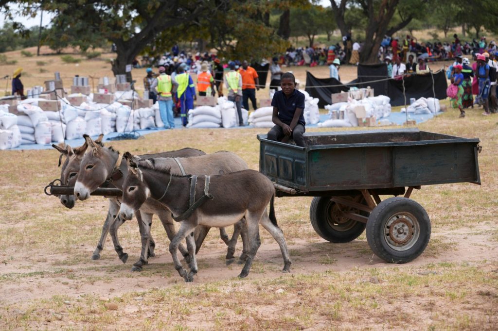 Millions hungry as drought grips southern Africa