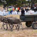 Millions hungry as drought grips southern Africa