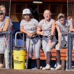 2024 CIF NorCal softball regionals: First-round matchups in all five divisions