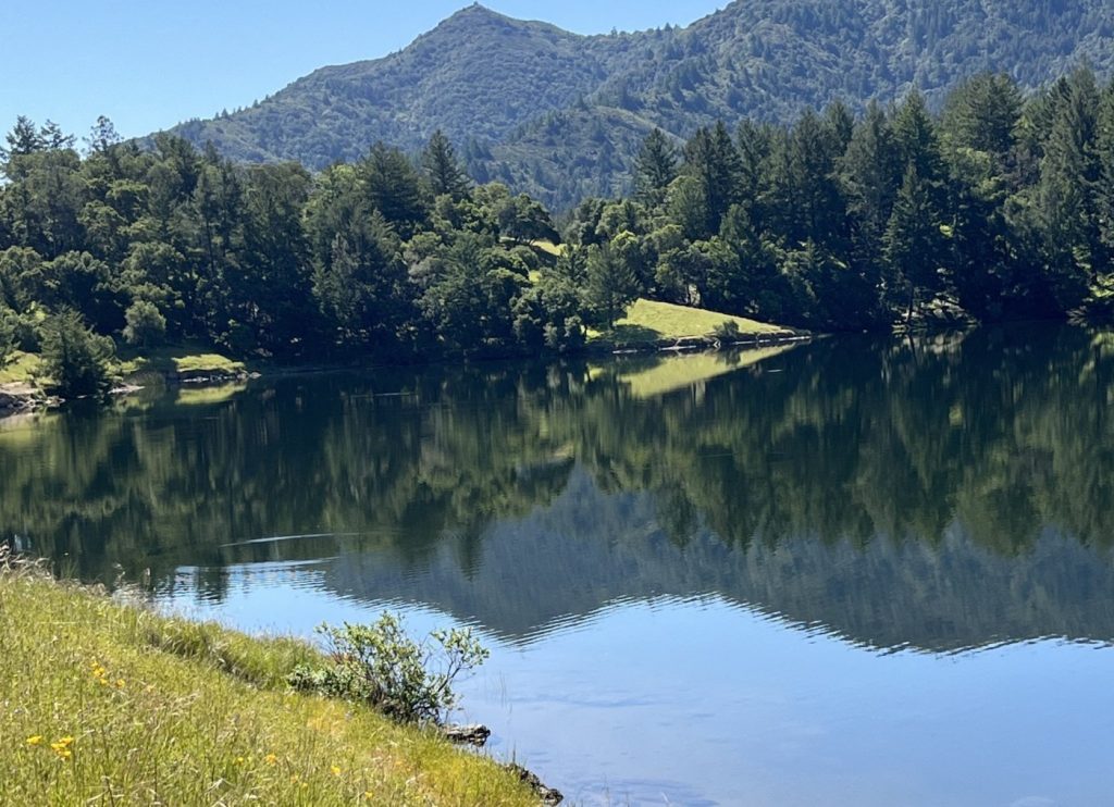 Marin hike: A lovely lakeside loop at Bon Tempe